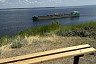 Саратовский министр перечислила дачные радости на Волге